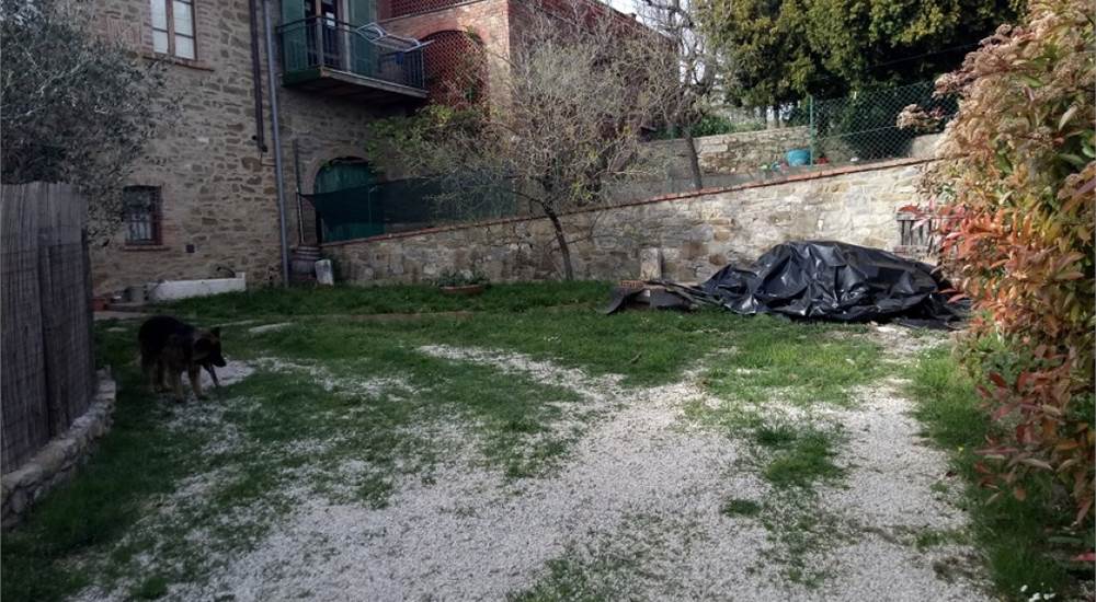 Photo 6
