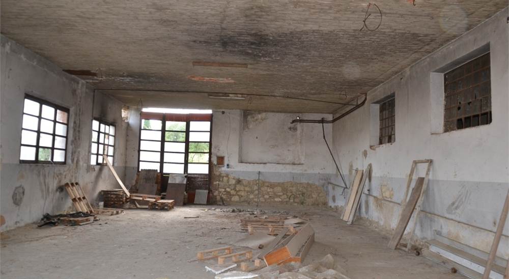 Photo 10